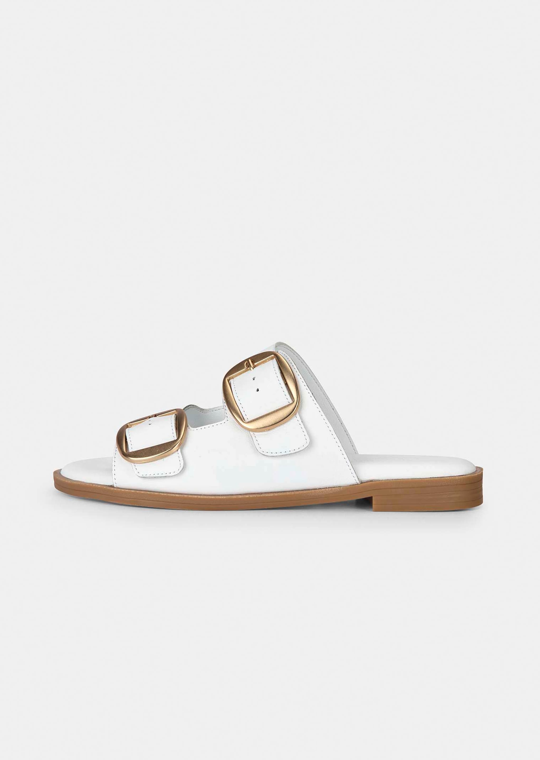 Mules